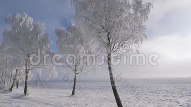 雪后的冬天，白雪皑皑、霜冻<strong>四溢</strong>的树木